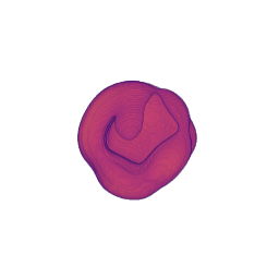 export_rotation_defaults